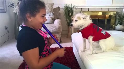 singing dog youtube|youtube singing dog videos.